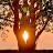 @amosh5677