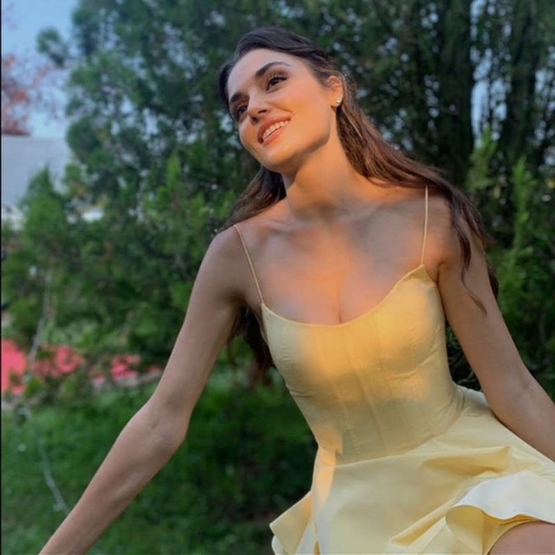 Turkey hande ercel  avatar