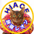 9p1VVloLmGs-channel-avatar-旅猫レオンとハイエース