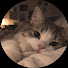 O5BP47BvpqI-channel-avatar-moodnote