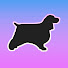 -yEjKPHzzcE-channel-avatar-Primpaws Grooming Academy