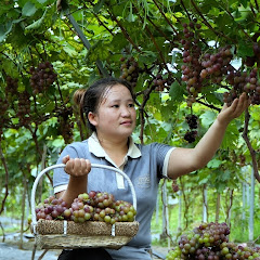  Lưu Linh Building New Life Avatar