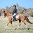 rWu_DTzfheE-channel-avatar-Sophie C