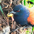 JXKXK-DFc8E-channel-avatar-Wild Nature22 