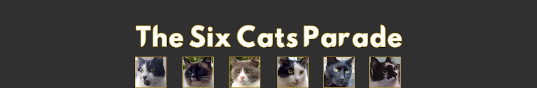 The Six Cats Parade YouTube channel avatar