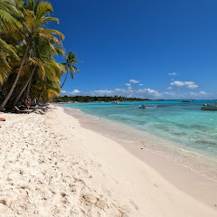 The M Family Memories net worth