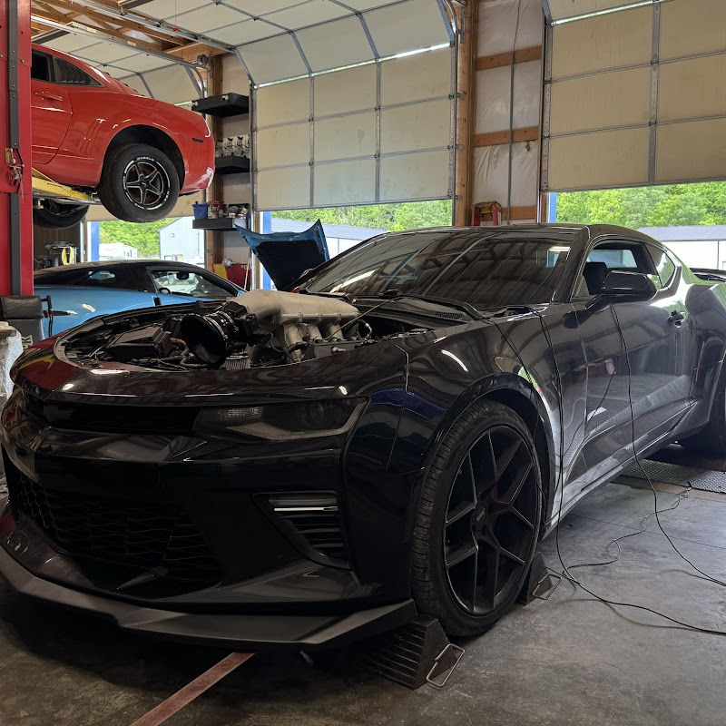 BluegrassPerformance
