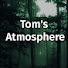 _ildwD074fs-channel-avatar-Tom's Atmosphere