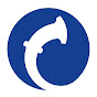 DESK MARATHI NEWS