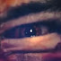 THgTF1DL9kk-channel-avatar-Sitan