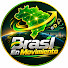 H4DGyEUj5J8-channel-avatar-Brasil En Movimiento
