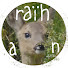 O_J2k-LlK1M-channel-avatar-Allotment Fox
