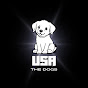 The Dogs USA  logo