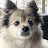 @Richard_K-RK