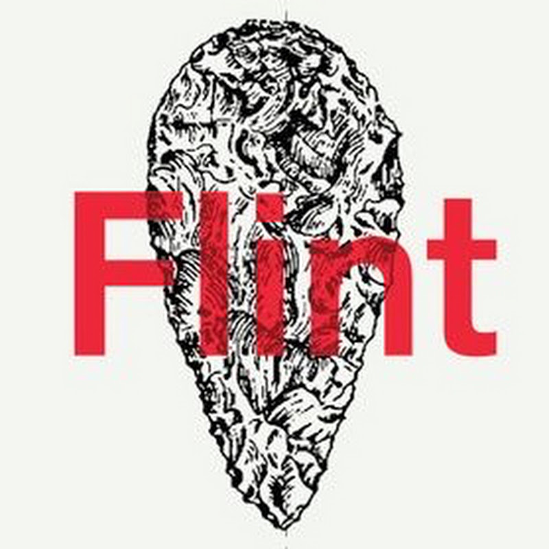 FLINT CAM channel logo