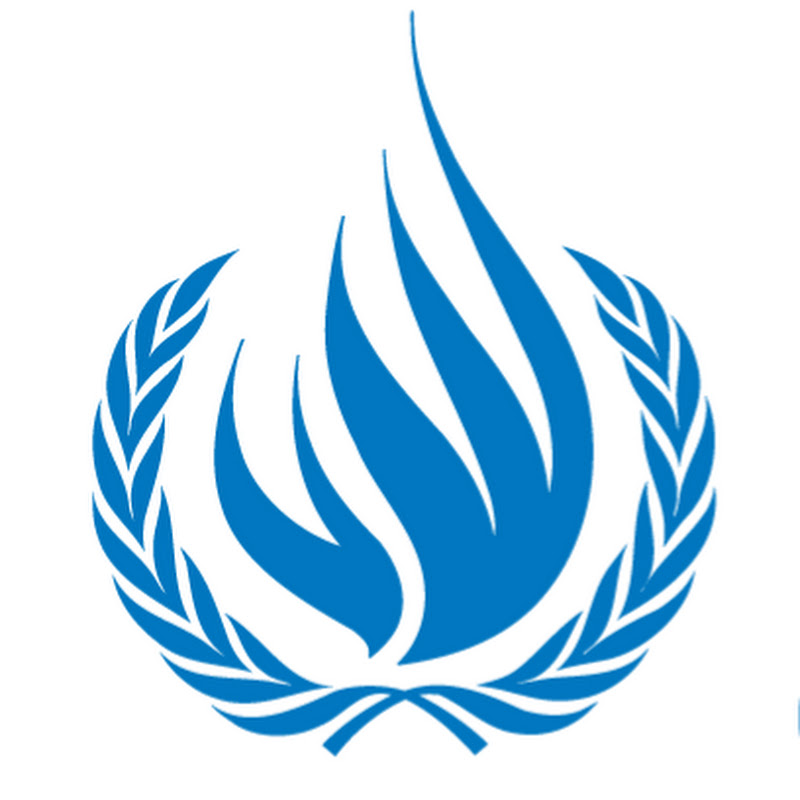 UN Human Rights - meetings and trainings