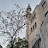 @3amoKhalid