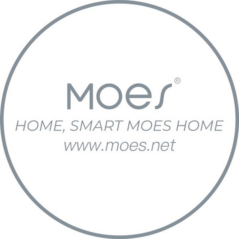 MOES.Official