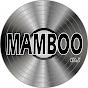 Mister Mamboo YouTube Profile Photo