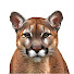l0mIAohZUYY-channel-avatar-Lutz Lechleitner