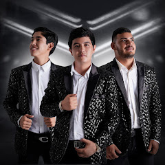 Efecto Elegante Official