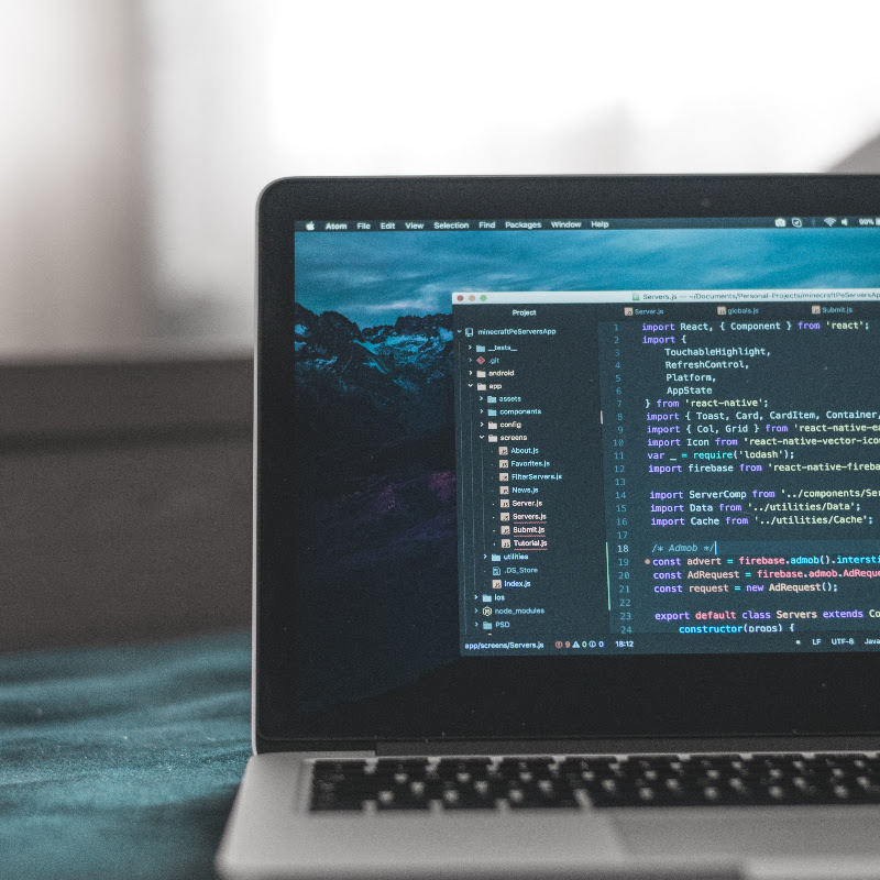 The Coder Human