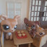 2G9NOJHEbVw-channel-avatar-luvella's alt account :P