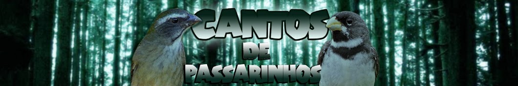 Cantos de Passarinhos YouTube channel avatar