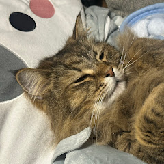 アヤトロ