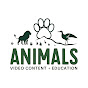 AnimalFast logo