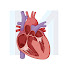 lxQFHKGvGJE-channel-avatar-MedicoMedics