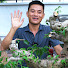 PLDLEUVe3GA-channel-avatar-NamLe Bonsai