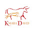 dIZaVvA3cbo-channel-avatar-kmara David