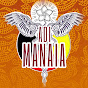 Adi Manaia logo