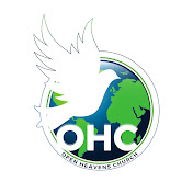 OPEN HEAVENS CHURCH TV