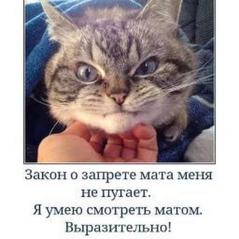 Amchanin Channel Logo