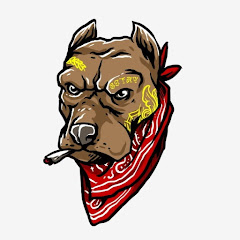 BigDog ENT