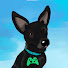 CZAWxKlOE9M-channel-avatar-Foxy Roxy Games
