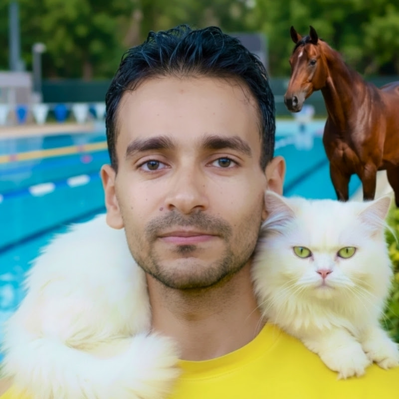 ahmed shady أحمد شادى