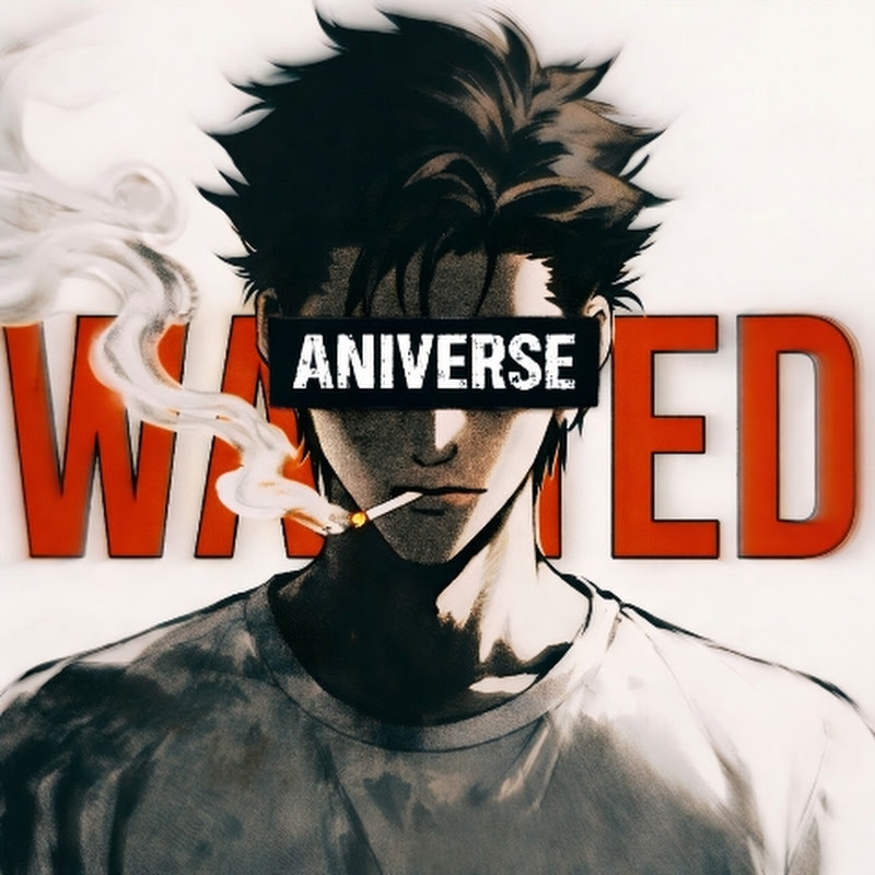 Mr Aniverse