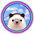 COnl2s_ysUI-channel-avatar-Hedgehog Video