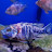 @gtr3516 Avatar