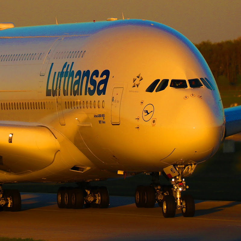 Nordika Steffi Spotting