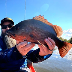 DrWeirdBeardFishing