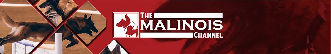 The Malinois Channel YouTube kanalı avatarı