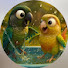 CQj8G5J6iXQ-channel-avatar-Mitthu Cinnamon Green cheek conure Parrot