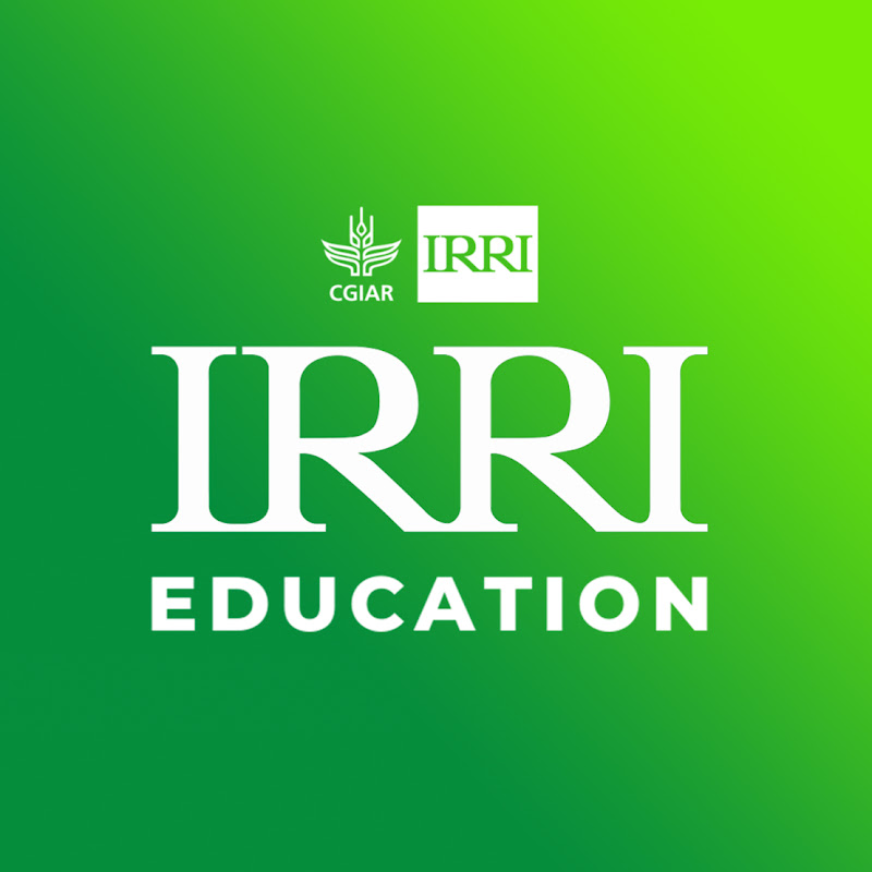 IRRI Education