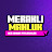 Meraklı Mahluk