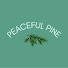 ttUp0eF82eg-channel-avatar-Peaceful Pine