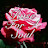 Rose For A Soul
